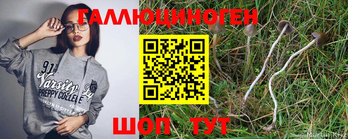 Галлюциногенные грибы ЛСД Обнинск