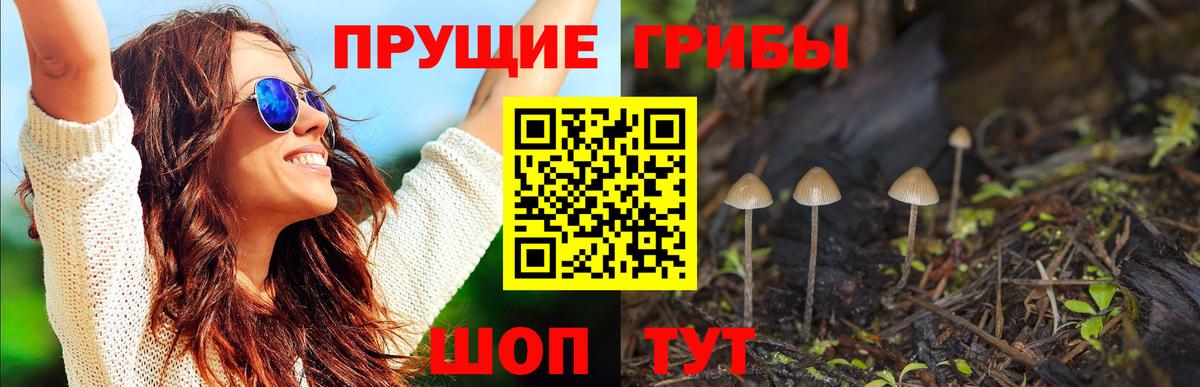 Галлюциногенные грибы ЛСД  Вход с VPN  как найти   Обнинск 