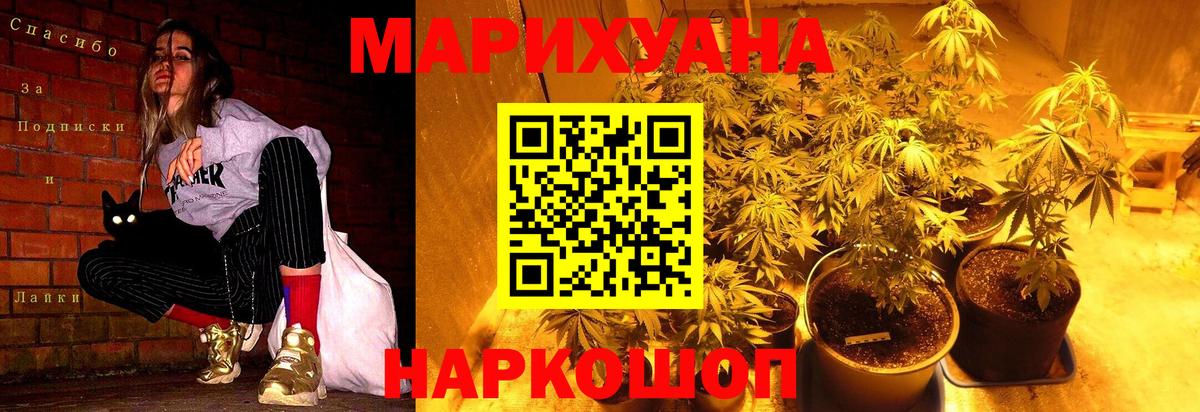 Канабис сатива Обнинск